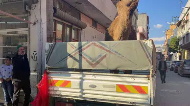 Adana’da Deve Kesilmekten Son Anda Kurtarıldı