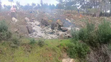 Ağaçları Kesip Yaktılar: 20 Gözaltı