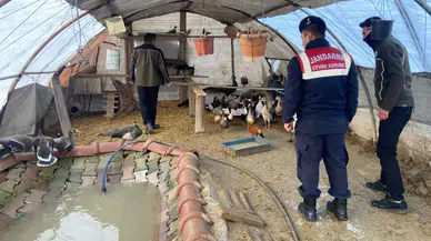 Aksaray’da Yaban Hayvanı Ticaretine 78 Bin 650 TL Ceza