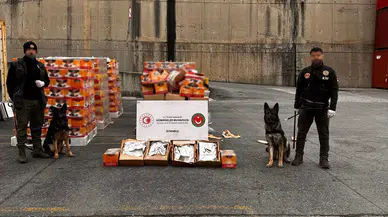 Ambarlı Limanı’nda Zehir Tacirlerine Yönelik Operasyon: 36 Milyon Liralık Uyuşturucu Ele Geçirildi