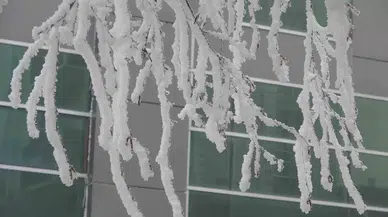 Ardahan Eksi 18,6 Derece ile Buz Tuttu
