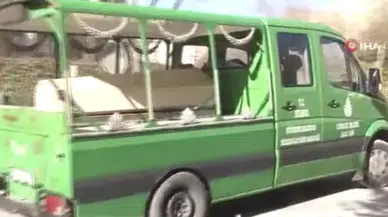 Beylikdüzü’nde 4 Yaşındaki Oğlunu Öldüren Anneye Akıl Sıhhati Yerinde Olmadığı Gerekçesiyle Ceza Verilmedi
