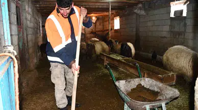 Beytüşşebap’ta Besicilerin Kuvvetli Kış Mesaisi Sürüyor
