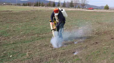 Bu İlçedeki Çiftçilerin Başı Farelerle Kederde