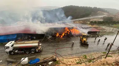 Çanakkale’de Dama Yıldırım Düşmesi Sonucu 2 Bin Balya Saman Yandı, 29 Büyükbaş Hayvan Yanmaktan Kurtarıldı
