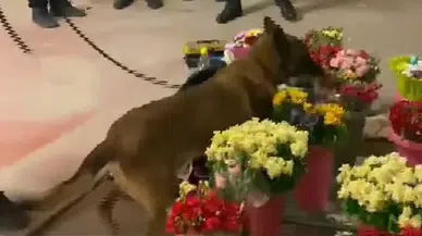 Çiçekçi Kılığındaki Uyuşturucu Sevkiyatına Bursa Polisi "Dur" Dedi