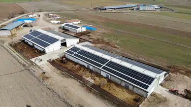 Devlet Takviyesiyle Kurduğu Büyükbaş Hayvan Çiftliğinin Elektrik Masraflarını Ges ile Karşılıyor