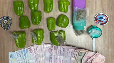 Dolma Biberle Uyuşturucu Servisi