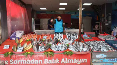 Elazığ’da En Çok Tercih Edilen Balık Çeşitleri Hamsi, İstavrit ve Alabalık Oldu