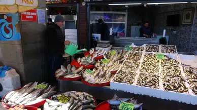 Hamsi Dönemi Erken Kapatıyor