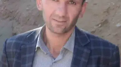 Hizan’da Üzerine Ağaç Devrilen Adam Hayatını Kaybetti