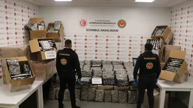 İstanbul ve Kapıkule’de Uyuşturucu, Hamzabeyli’de Kaçak Çay Yakalandı