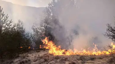 Kastamonu’da Ormanlık Alanda Çıkan Yangın Söndürüldü