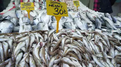 Kilosu 30 TL’ye Satılan Balıklara İlgi Yok Denecek Kadar Az