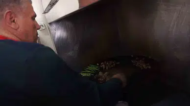 Kızgın Sac Üzerinde 7 Saniyede Pişiyor, Porsiyonu 120 Liradan Satılıyor