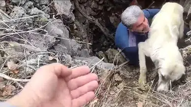 Kuyuya Düşen Köpeğe Vatandaştan Yardım Eli