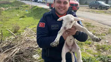 Kuyuya Düşen Kuzuyu İtfaiye Kurtardı