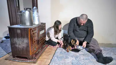 Muş’ta 3 Ayaklı Oğlak Doğdu
