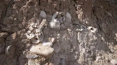 Niğde’deki Dinozor Fosili Sanılan Oluşumlar Traverten Taşı Çıktı