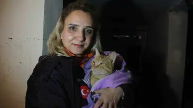 Sel Suyuyla Dolu Bodrum Katta Vefatı Göze Alıp Kedisini Kurtaran Bayan O Anları Anlattı