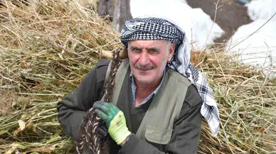 Şırnak’ta Besiciler Yemleri Sırtlayarak Hayvanlarını Besliyor