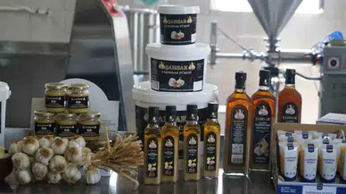Sofralarda Mayonez ve Ketçabın Yerini Sarımsak Püresi Alacak