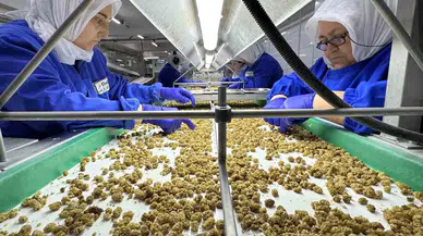 Türkiye Organik Eser İhracatında 1 Milyar Dolar Hududunu Aştı