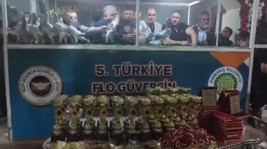 Türkiye’nin En Hoş Güvercinleri Karkamış’ta Görücüye Çıktı