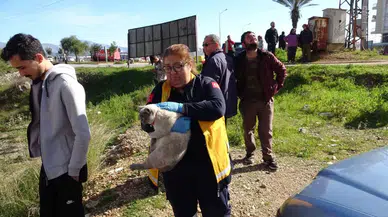 Tutuşan İzolasyon Gereçleri Çatıyı Küle Çevirdi, Bina Sakinleri Gözyaşlarına Hakim Olamadı