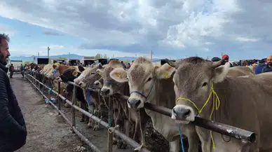 Uzmanı Uyardı, O Hastalık Ağızda Oluşan Lezyonlarla Kendini Gösteriyor