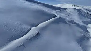 Uzungöl’ün Doruklarında Dronla Tilkiyi Saniye Saniye Takip Etti