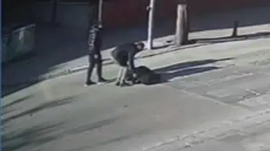 Yola Fırlayan Yayaya Araba Çarptı, O Anlar Kameraya Yansıdı
