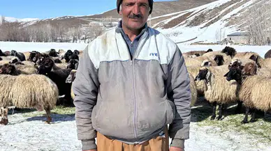 Yüksekova’da İthal Çoban Devri