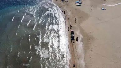 Zehirli Sakın Dokunmayın: Denizanaları Kıyıdan Toplanıyor