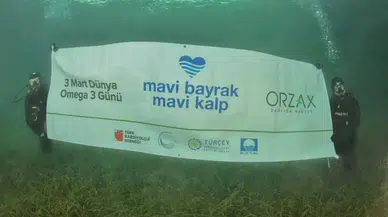 3 Mart Dünya Omega 3 Günü’nde Manalı Bildiri: “Denizlerimiz Kalp Damar Sıhhati İçin Kıymet Arz Ediyor”