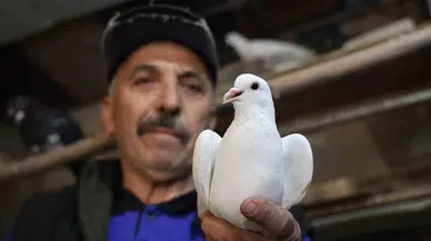 40 Yıldır Kumrularla Çocuk Üzere İlgileniyor