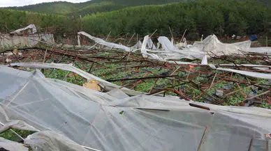 Alanya’da Hortum 250 Dönümden Fazla Seraya Ziyan Verdi