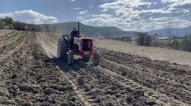 Baharın Müjdecisi Çiğdemler Çiçek Açtı, 12 Bin Yıllık Siyez Toprakla Buluşturuldu