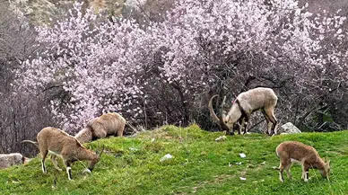 Birebir Vilayet İki Farklı Mevsim