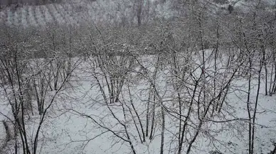 Dün Güneşli Havanın Tadını Çıkarıyorlardı, Bugün Kara Uyandılar
