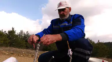 Hayatını Bu İşe Adadı, Dağ Dağ Gezip Yabani Meyve Ağaçlarını Aşılıyor