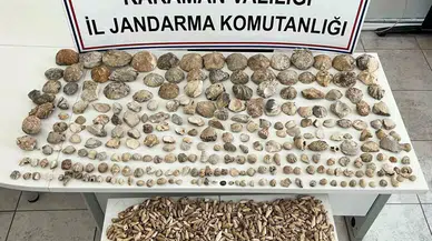 Karaman’da Bin 780 Adet Bitki ve Hayvan Fosili Ele Geçirildi