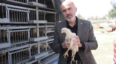 Karaman’da Kendi Yumurtalarını Üretmeleri İçin Köylülere Tavuk ve Horoz Dağıtıldı