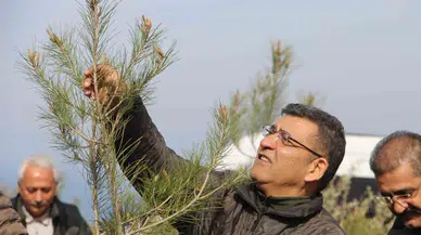 Orman Yangınlarında Yok Olan Alanlar Yine Ağaçlandırılıyor