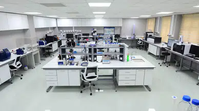 Selçuk Zeytinyağına ‘Coğrafi İşaret’ Formülü