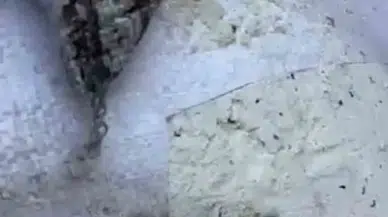 Skandal Manzaraların Sahibi Oba Makarna’dan Açıklama