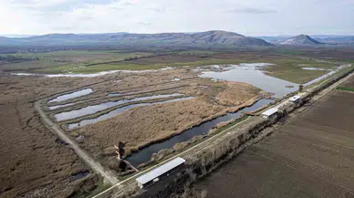Tokat’ta Kuşların Göç Durağı Tekrar Canlanacak