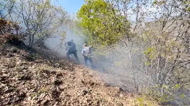 Çorum’da 10 Dekar Ağaçlık Alan Zarar Gördü