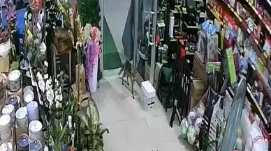 Aç Kalan Tilki Japon Pazarına Girdi