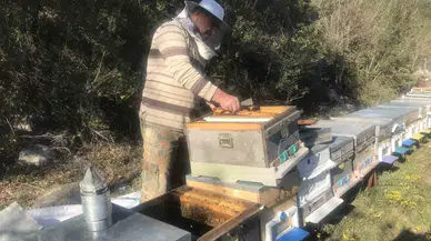 Arıcılar Yeni Döneme Hazırlanıyor